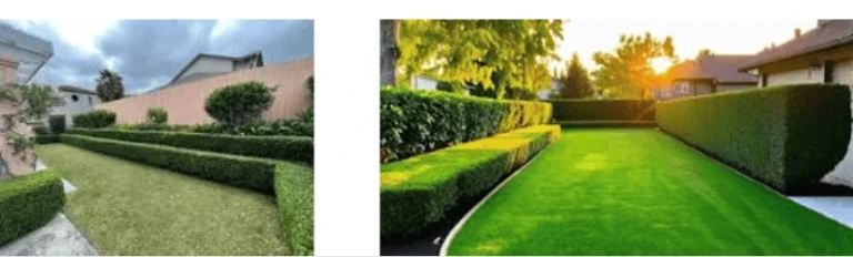 Premier lawn care Wesley Chapel