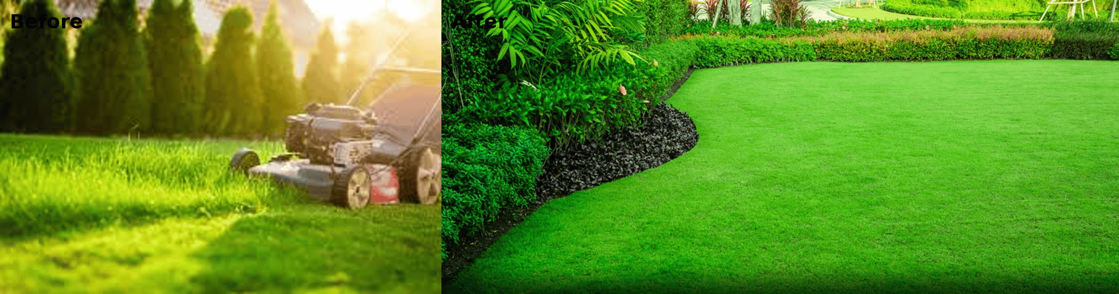 Professional lawn Fl