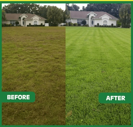 Wesley chapel Lawn Care